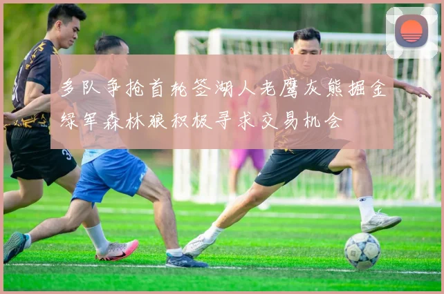 多队争抢首轮签湖人老鹰灰熊掘金绿军森林狼积极寻求交易机会