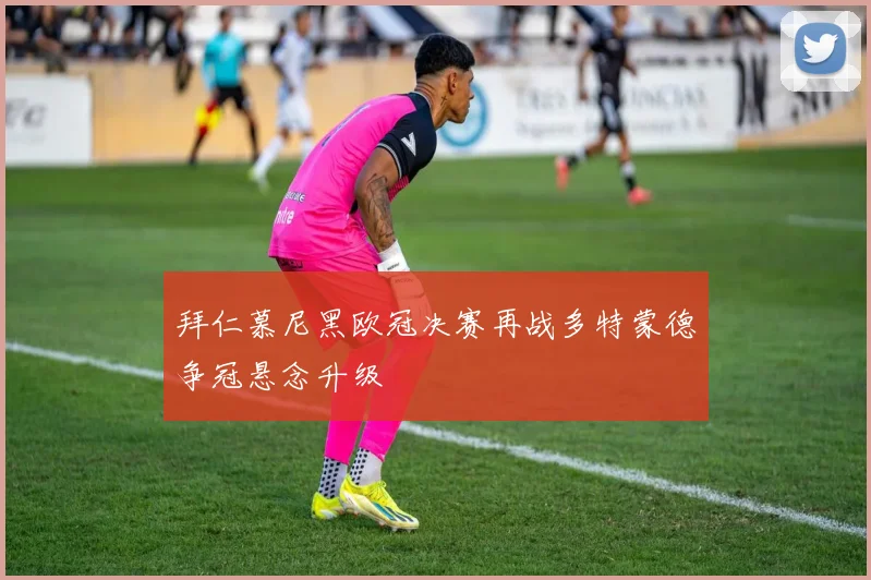 拜仁慕尼黑欧冠决赛再战多特蒙德争冠悬念升级