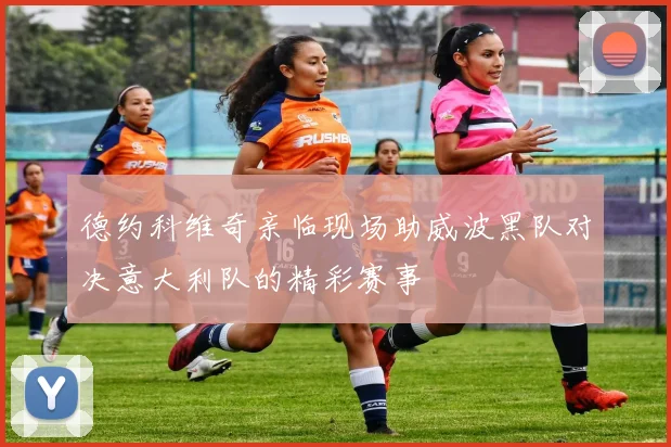 德约科维奇亲临现场助威波黑队对决意大利队的精彩赛事